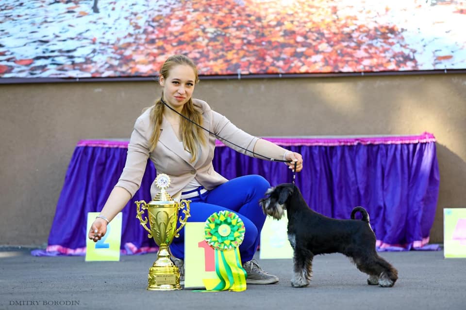 http://upforme.ru/uploads/0013/26/e2/64/250958.jpg
