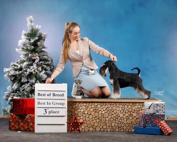 http://upforme.ru/uploads/0013/26/e2/64/256616.jpg