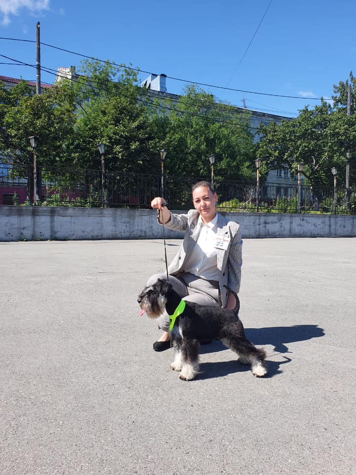 http://upforme.ru/uploads/0013/26/e2/64/257103.jpg