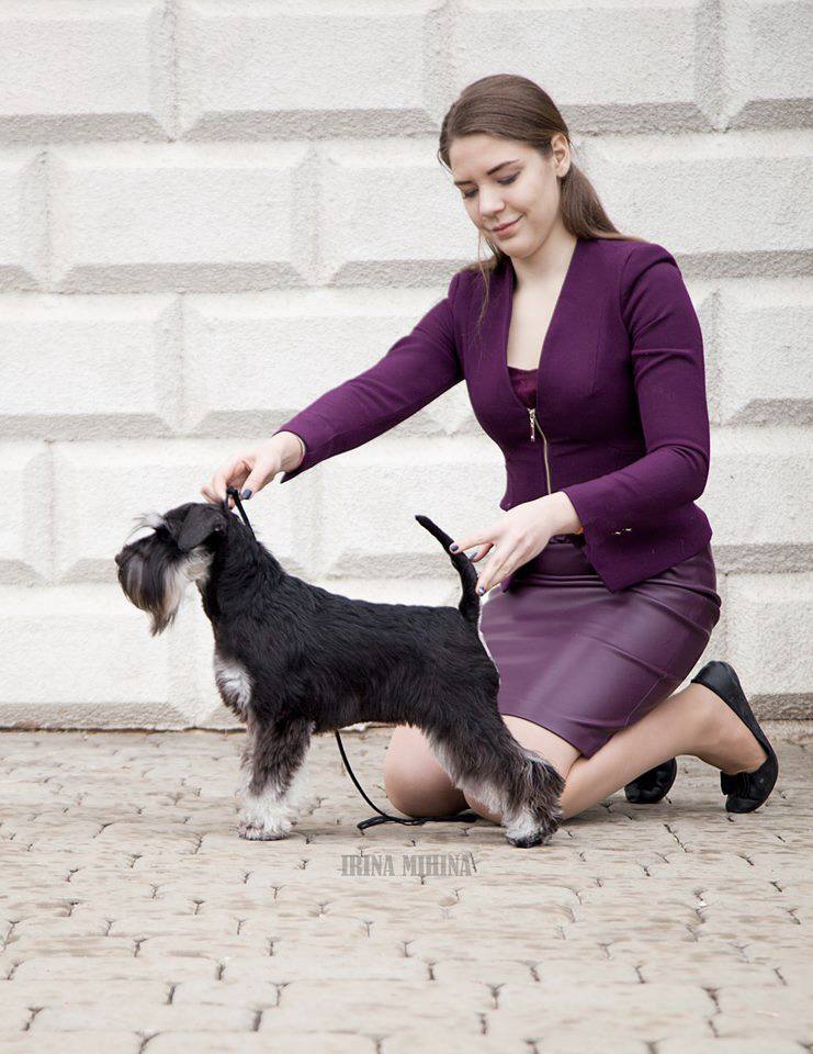 http://upforme.ru/uploads/0013/26/e2/64/264285.jpg
