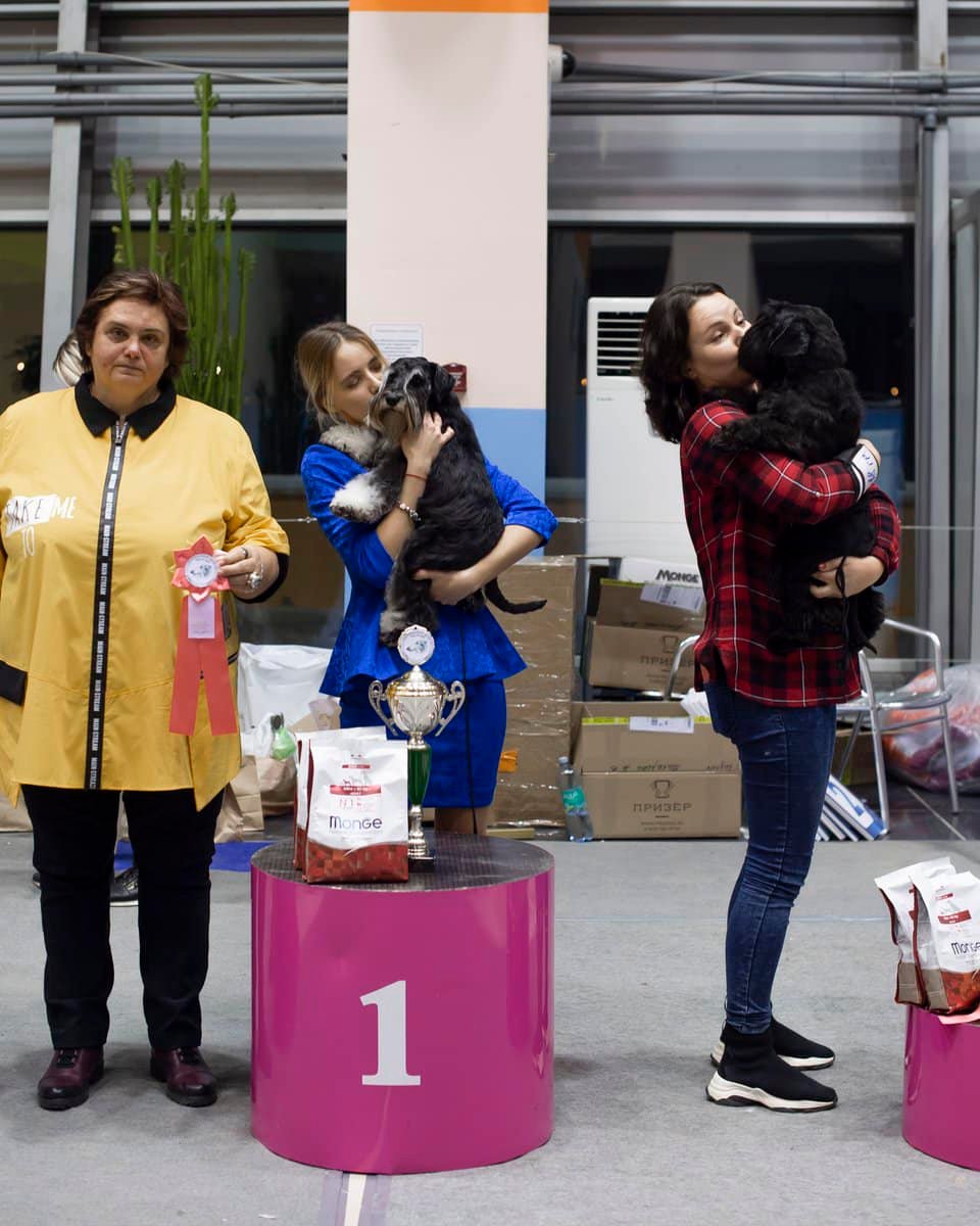 http://upforme.ru/uploads/0013/26/e2/64/266844.jpg