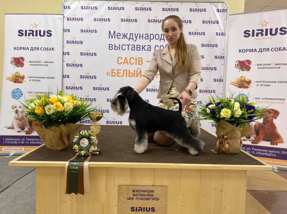 http://upforme.ru/uploads/0013/26/e2/64/269031.jpg