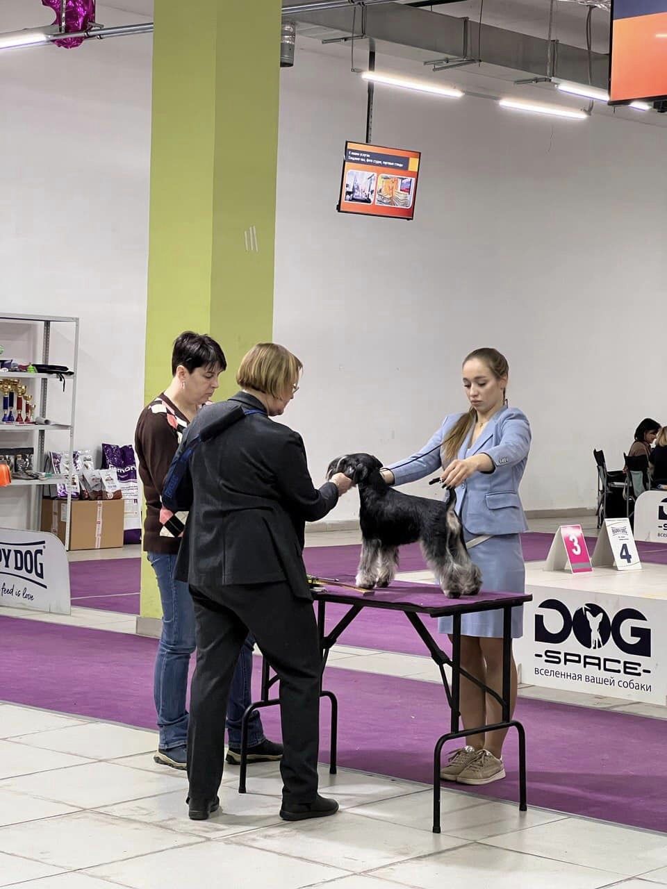 http://upforme.ru/uploads/0013/26/e2/64/275207.jpg
