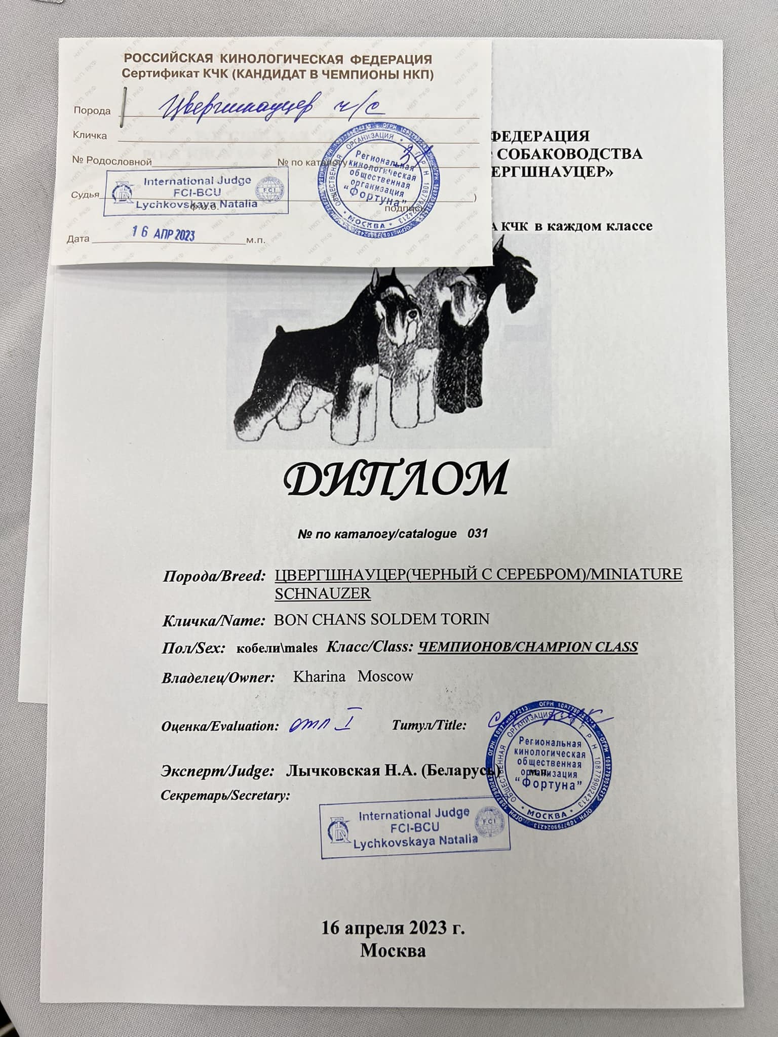 http://upforme.ru/uploads/0013/26/e2/64/287805.jpg