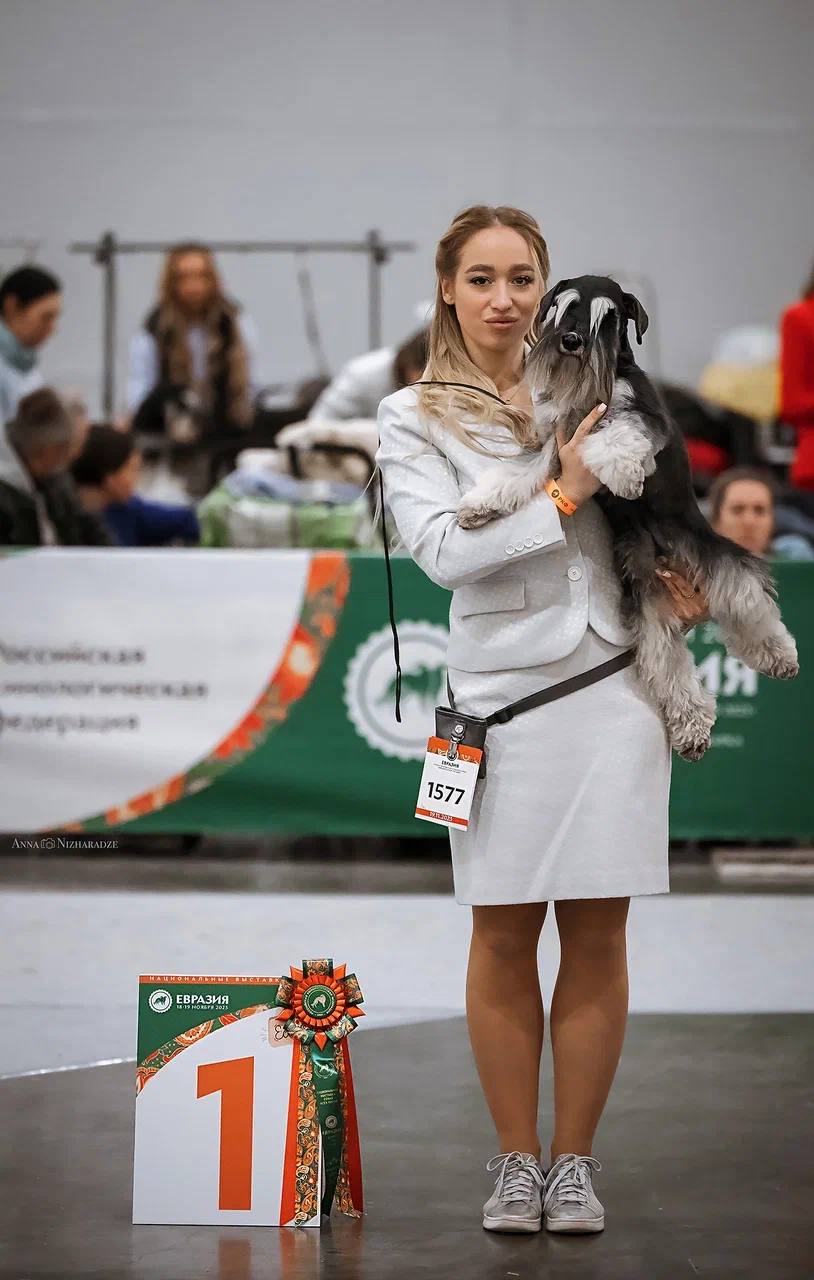 http://upforme.ru/uploads/0013/26/e2/64/289075.jpg