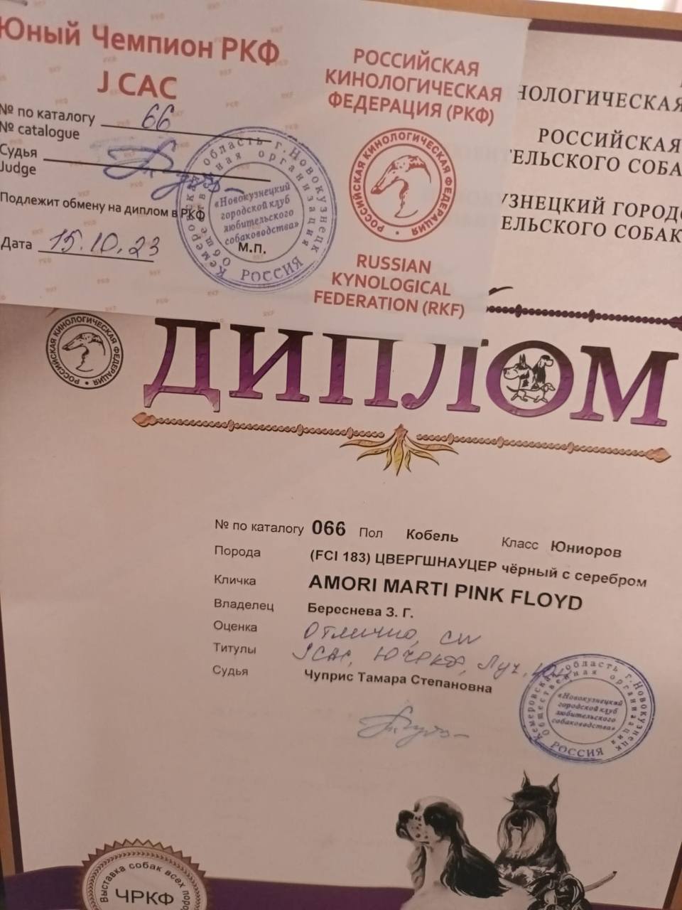 http://upforme.ru/uploads/0013/26/e2/64/290771.jpg