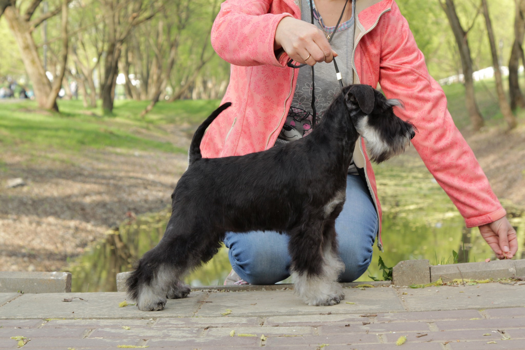 http://upforme.ru/uploads/0013/26/e2/64/291504.jpg