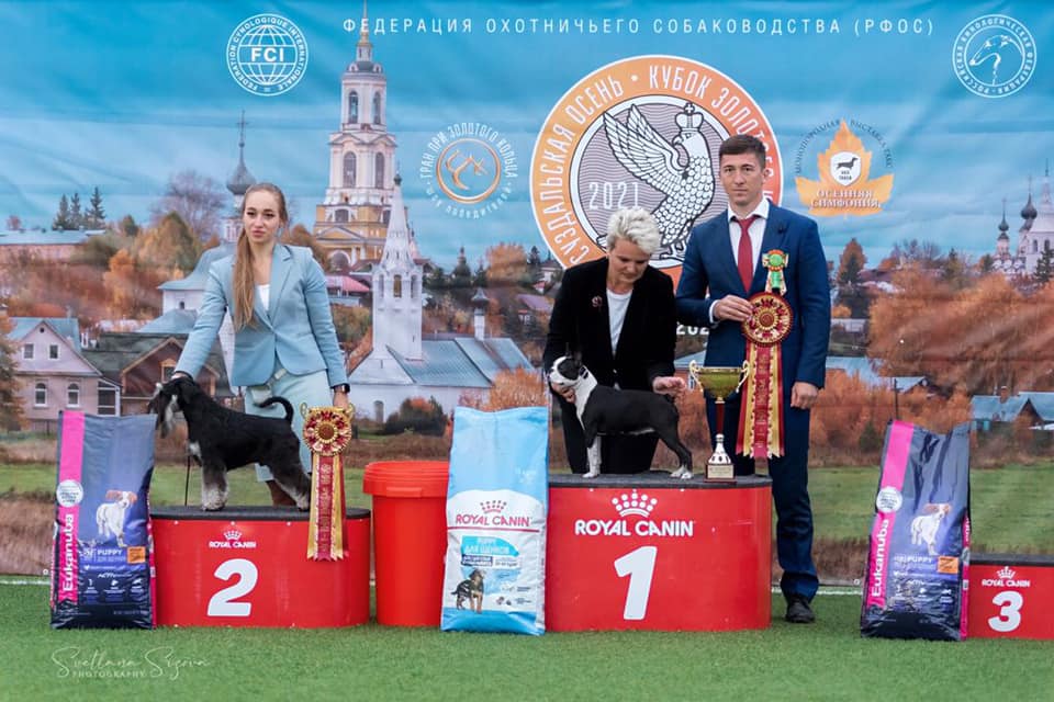 http://upforme.ru/uploads/0013/26/e2/64/293949.jpg