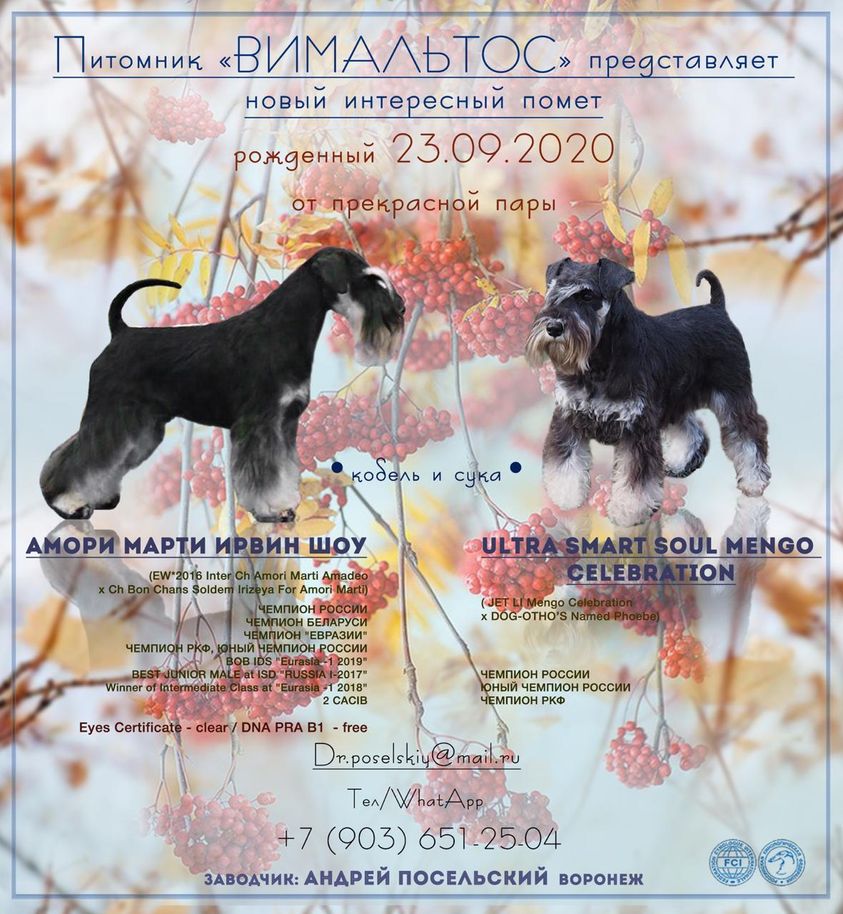http://upforme.ru/uploads/0013/26/e2/64/297642.jpg