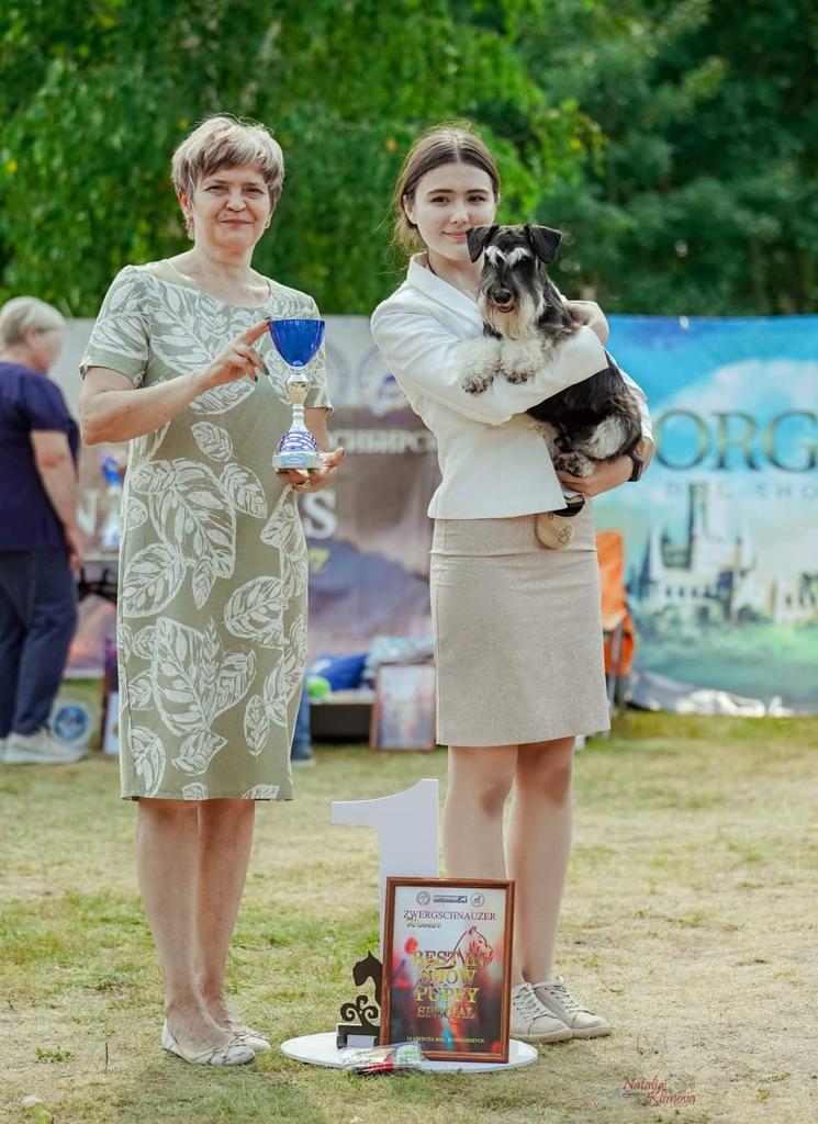 http://upforme.ru/uploads/0013/26/e2/64/310837.jpg