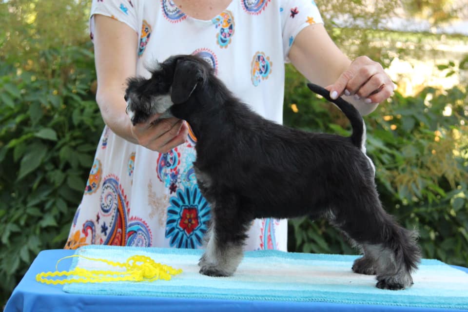 http://upforme.ru/uploads/0013/26/e2/64/311440.jpg