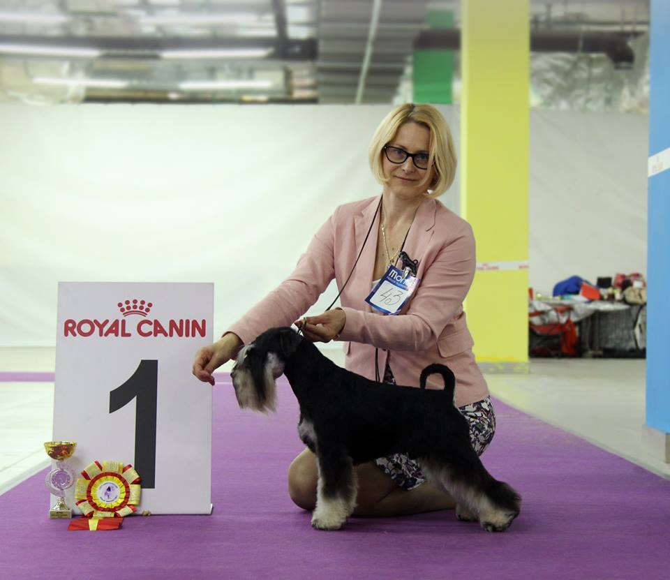 http://upforme.ru/uploads/0013/26/e2/64/316824.jpg