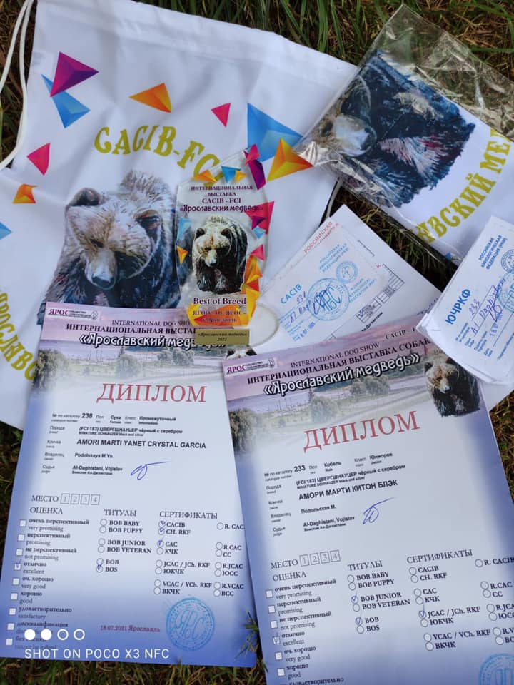 http://upforme.ru/uploads/0013/26/e2/64/325982.jpg
