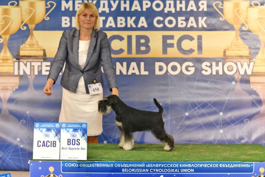 http://upforme.ru/uploads/0013/26/e2/64/328301.jpg