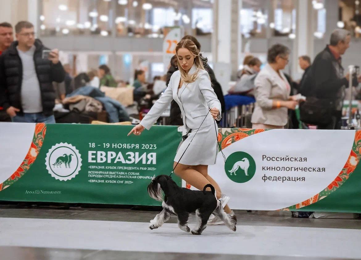 http://upforme.ru/uploads/0013/26/e2/64/328306.jpg