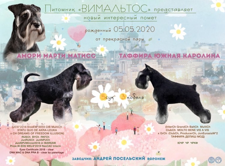 http://upforme.ru/uploads/0013/26/e2/64/329439.jpg