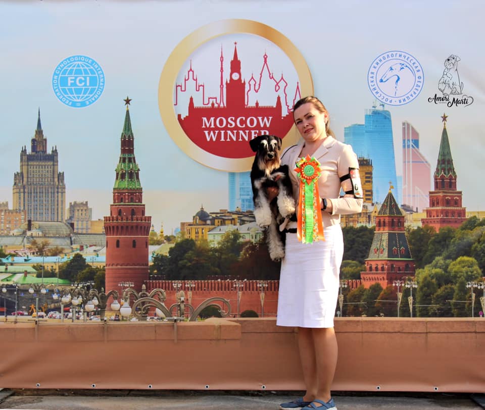 http://upforme.ru/uploads/0013/26/e2/64/336365.jpg