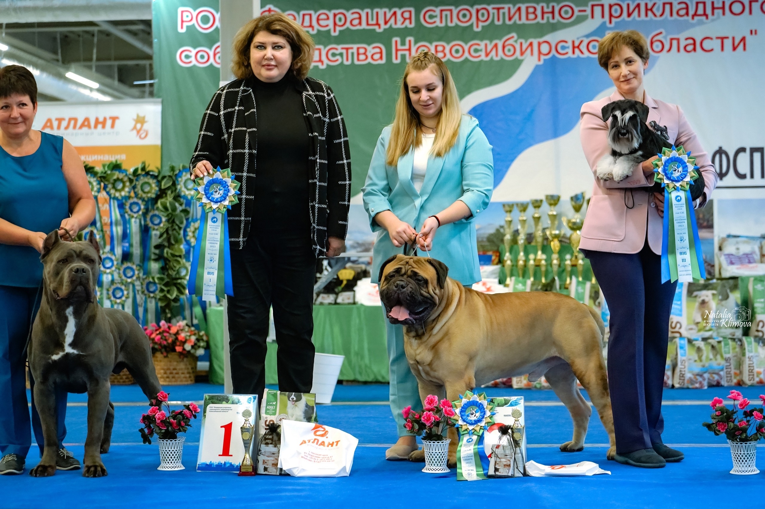 http://upforme.ru/uploads/0013/26/e2/64/338442.jpg