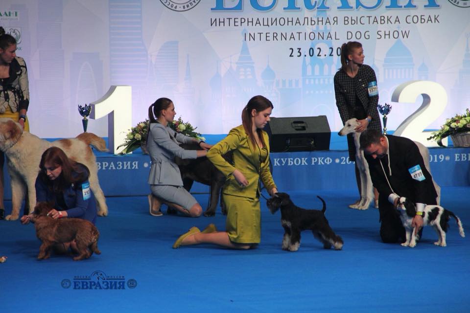 http://upforme.ru/uploads/0013/26/e2/64/338657.jpg
