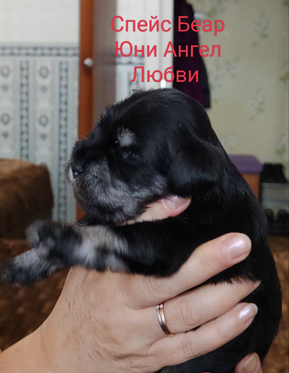 http://upforme.ru/uploads/0013/26/e2/64/341896.jpg