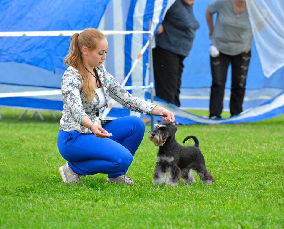 http://upforme.ru/uploads/0013/26/e2/64/343757.jpg