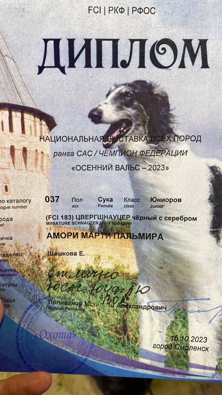 http://upforme.ru/uploads/0013/26/e2/64/345440.jpg