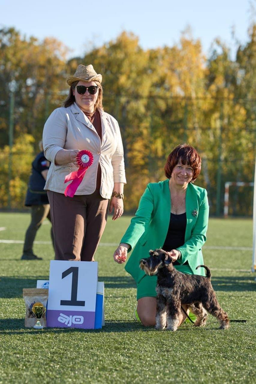 http://upforme.ru/uploads/0013/26/e2/64/355745.jpg