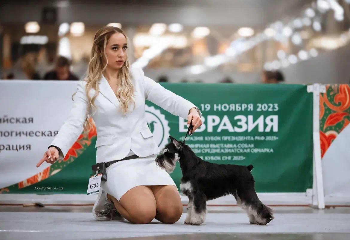 http://upforme.ru/uploads/0013/26/e2/64/361424.jpg