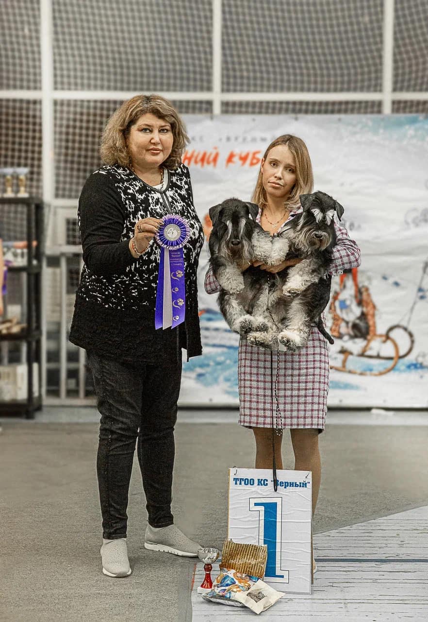 http://upforme.ru/uploads/0013/26/e2/64/363356.jpg
