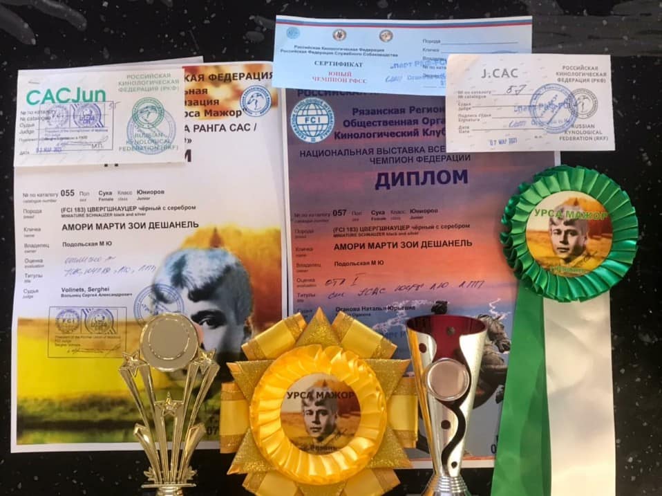 http://upforme.ru/uploads/0013/26/e2/64/368177.jpg