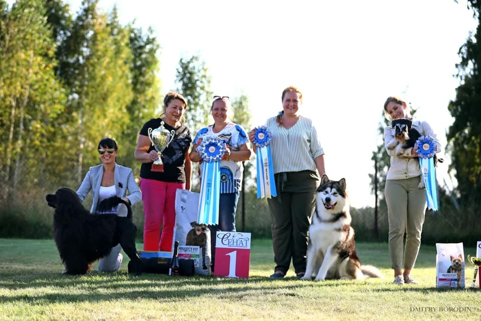 http://upforme.ru/uploads/0013/26/e2/64/382457.jpg