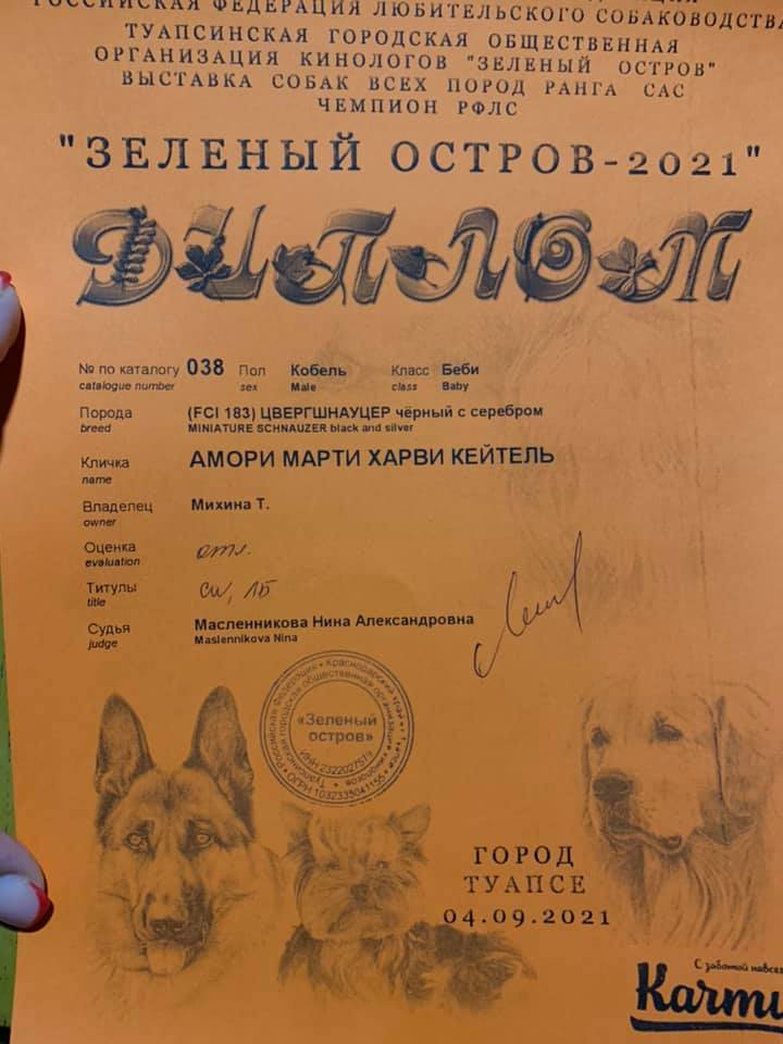 http://upforme.ru/uploads/0013/26/e2/64/386064.jpg