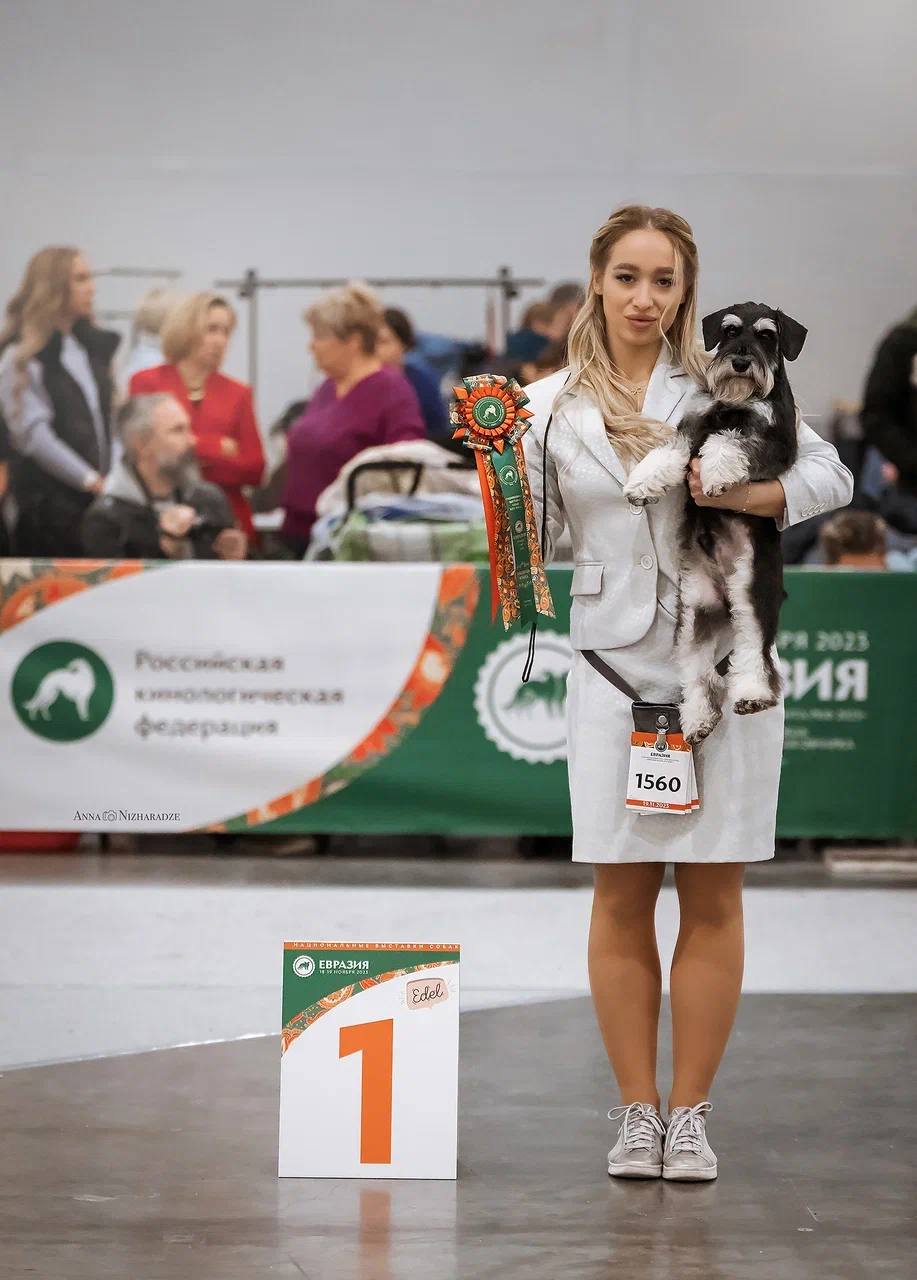 http://upforme.ru/uploads/0013/26/e2/64/390287.jpg