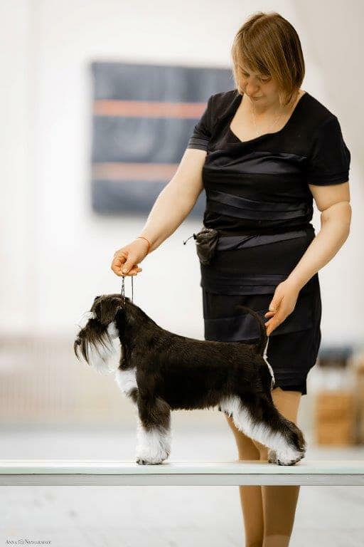 http://upforme.ru/uploads/0013/26/e2/64/390876.jpg