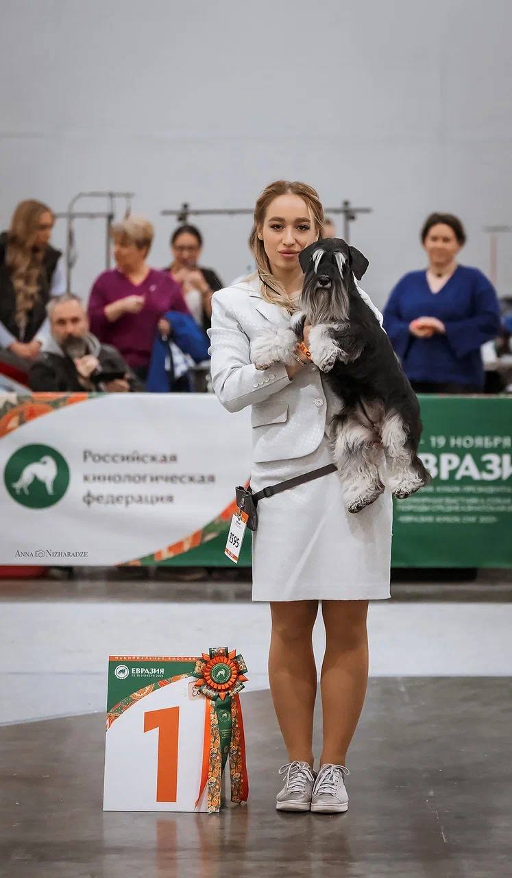 http://upforme.ru/uploads/0013/26/e2/64/393017.jpg