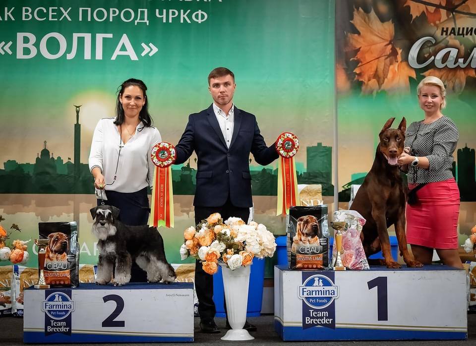 http://upforme.ru/uploads/0013/26/e2/64/403550.jpg