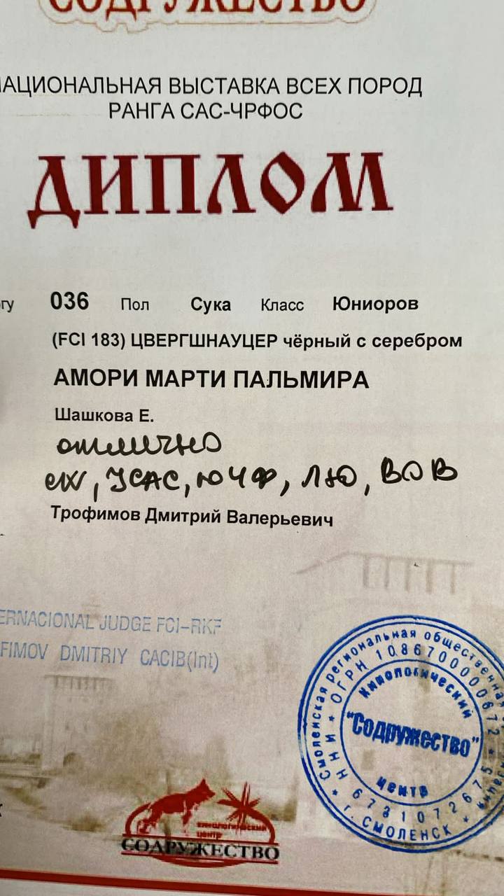 http://upforme.ru/uploads/0013/26/e2/64/403744.jpg