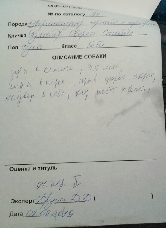 http://upforme.ru/uploads/0013/26/e2/64/405446.jpg