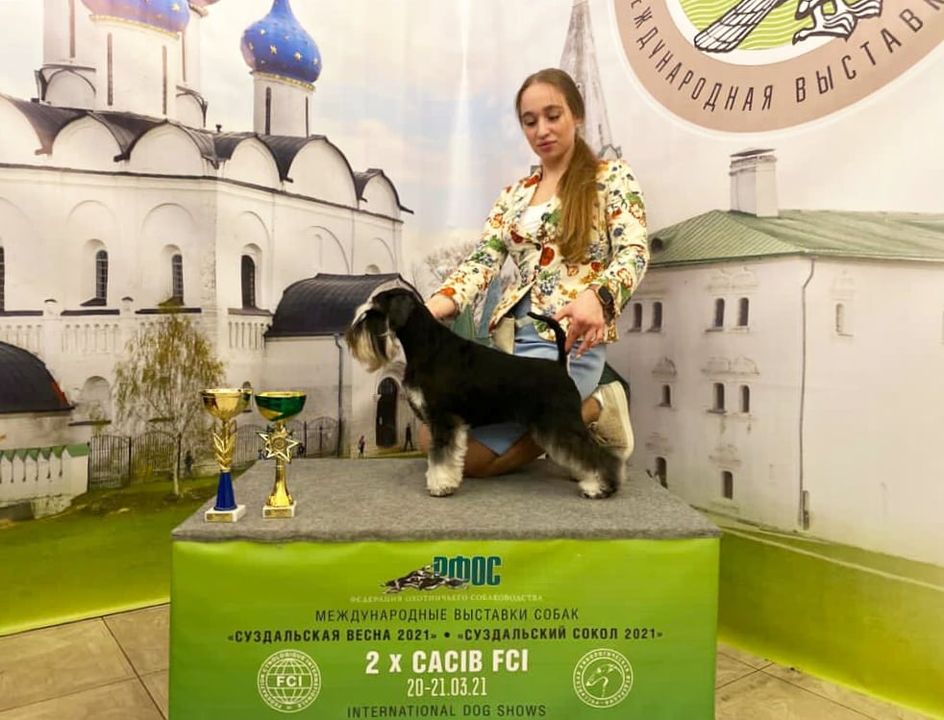 http://upforme.ru/uploads/0013/26/e2/64/407723.jpg
