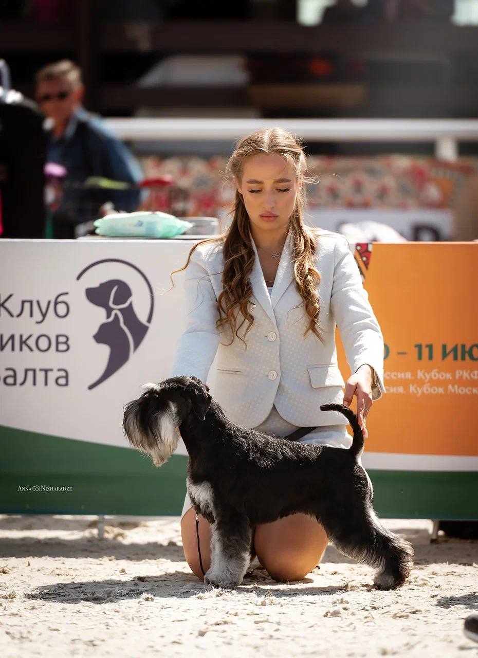 http://upforme.ru/uploads/0013/26/e2/64/413632.jpg