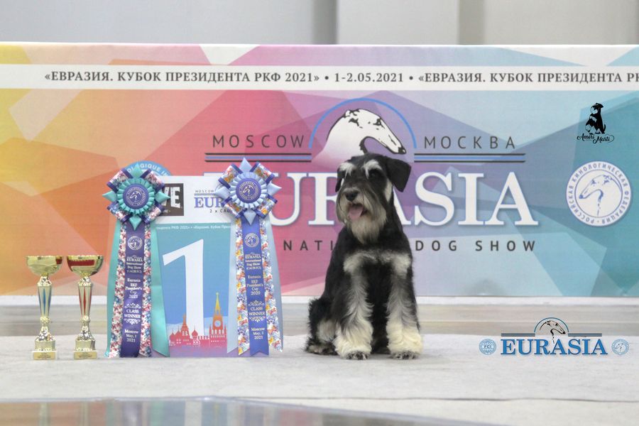 http://upforme.ru/uploads/0013/26/e2/64/416541.jpg