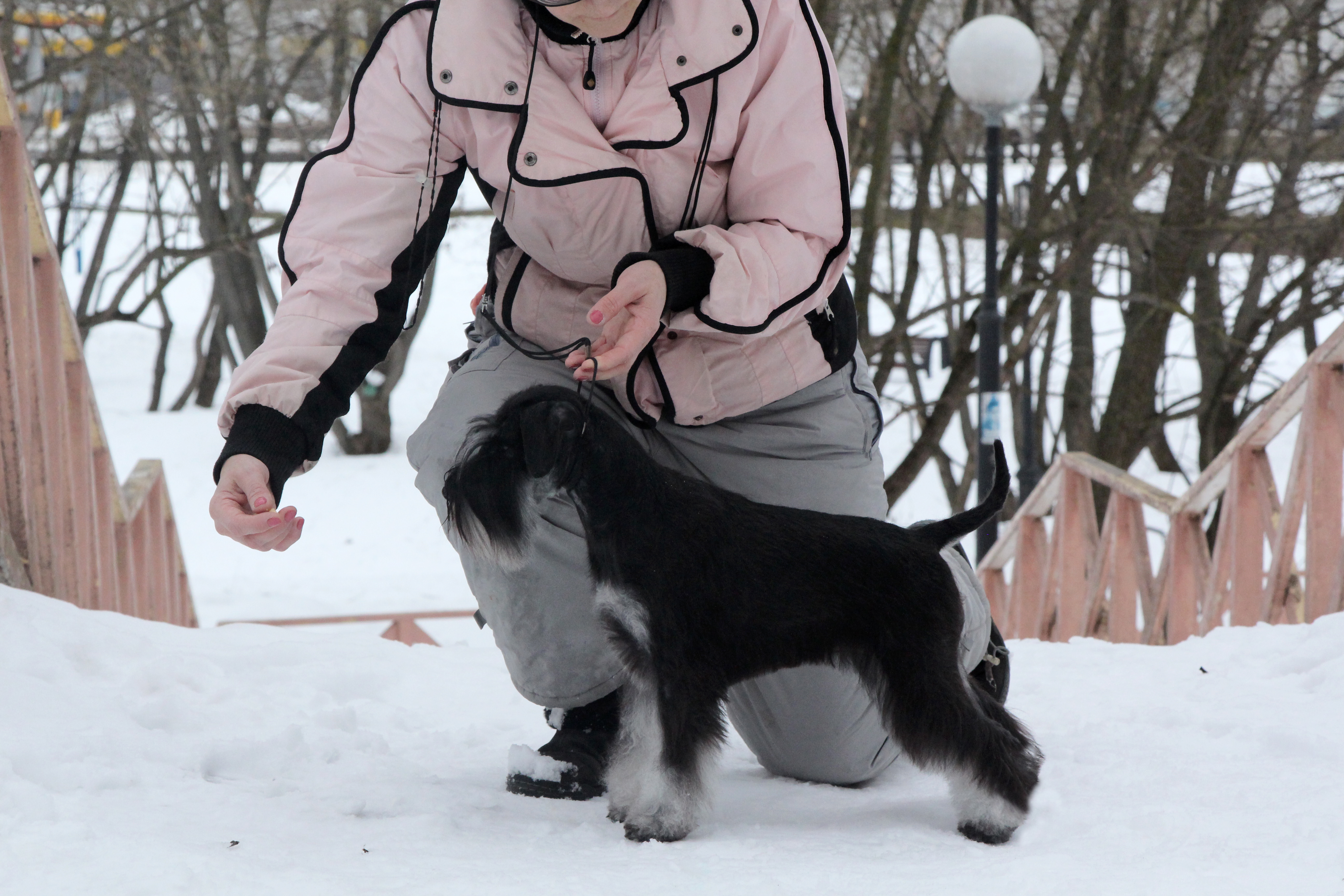 http://upforme.ru/uploads/0013/26/e2/64/419501.jpg
