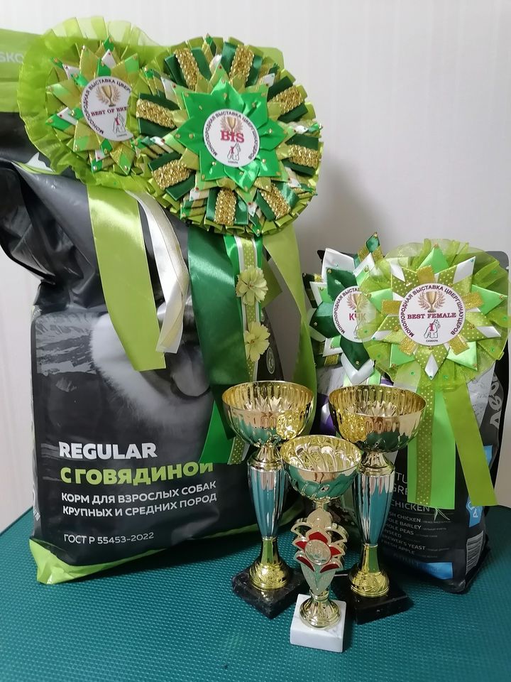 http://upforme.ru/uploads/0013/26/e2/64/420375.jpg
