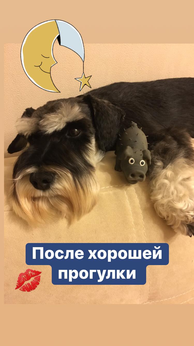 http://upforme.ru/uploads/0013/26/e2/64/428035.jpg
