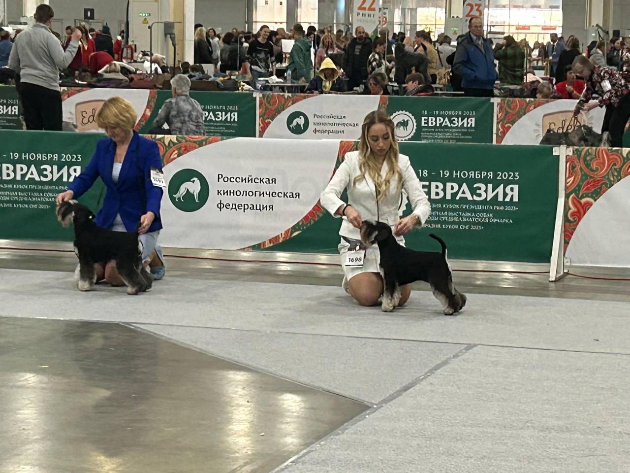 http://upforme.ru/uploads/0013/26/e2/64/428341.jpg