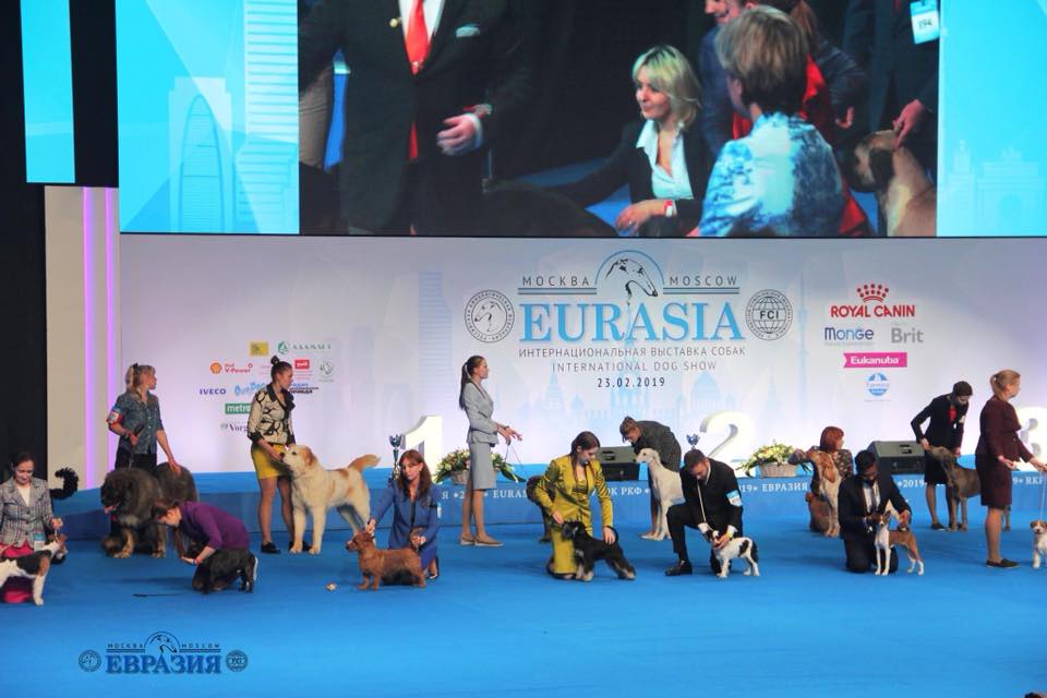 http://upforme.ru/uploads/0013/26/e2/64/43064.jpg