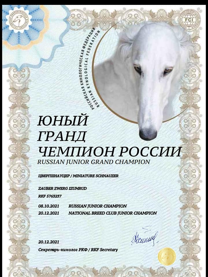 http://upforme.ru/uploads/0013/26/e2/64/441618.jpg