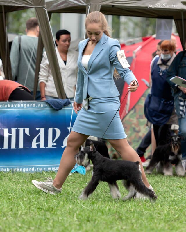 http://upforme.ru/uploads/0013/26/e2/64/449309.jpg