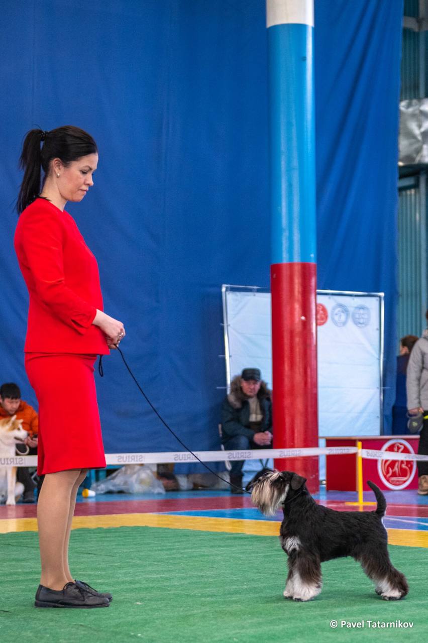 http://upforme.ru/uploads/0013/26/e2/64/449607.jpg