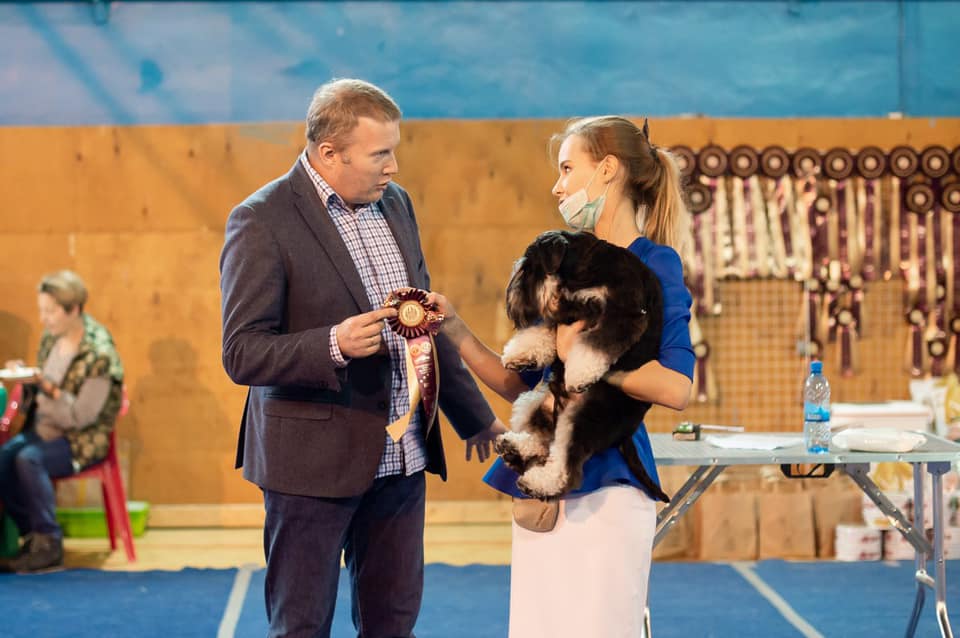 http://upforme.ru/uploads/0013/26/e2/64/459190.jpg